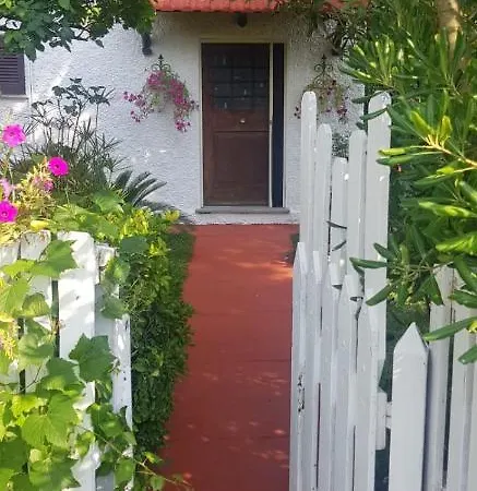 La Corte Delle Rose Bed & Breakfast Praia a Mare