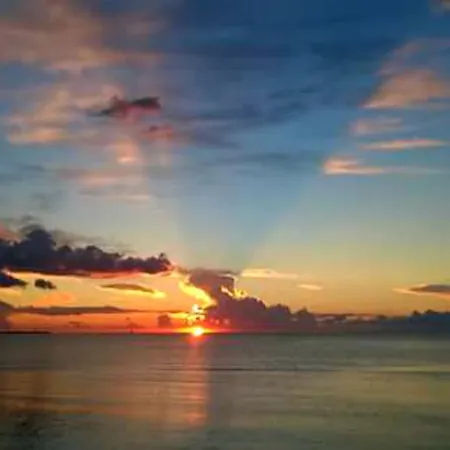 La Corte Delle Rose Praia a Mare