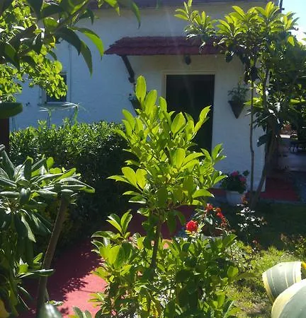 Bed & Breakfast La Corte Delle Rose Praia a Mare