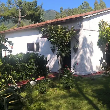 La Corte Delle Rose Praia a Mare