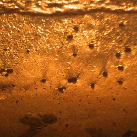 Frühstückspension La Corte Delle Rose