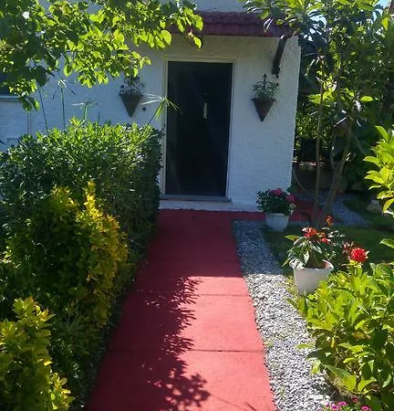 Frühstückspension La Corte Delle Rose Praia a Mare