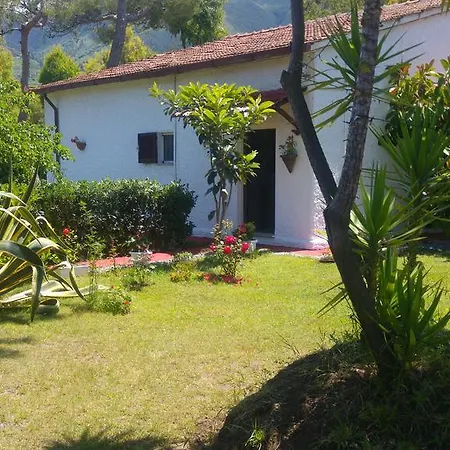 Frühstückspension La Corte Delle Rose Praia a Mare