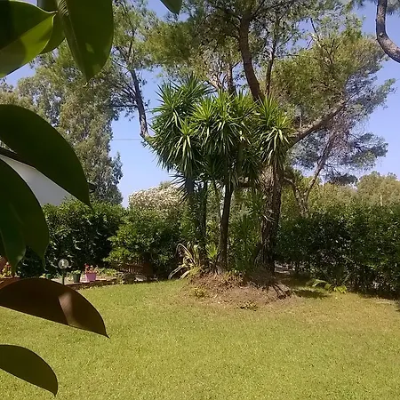 La Corte Delle Rose Praia a Mare