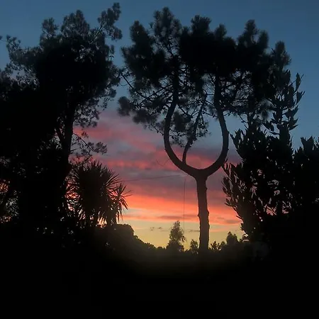 La Corte Delle Rose Bed & Breakfast *
