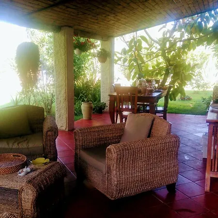 La Corte Delle Rose Nocleg ze śniadaniem Praia a Mare