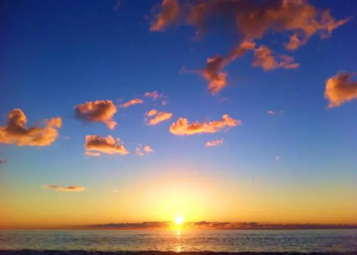科尔特阿尔玫瑰住宿加早餐酒店 住宿加早餐酒店 普拉亚·阿马勒