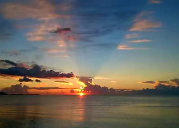 科尔特阿尔玫瑰住宿加早餐酒店 普拉亚·阿马勒