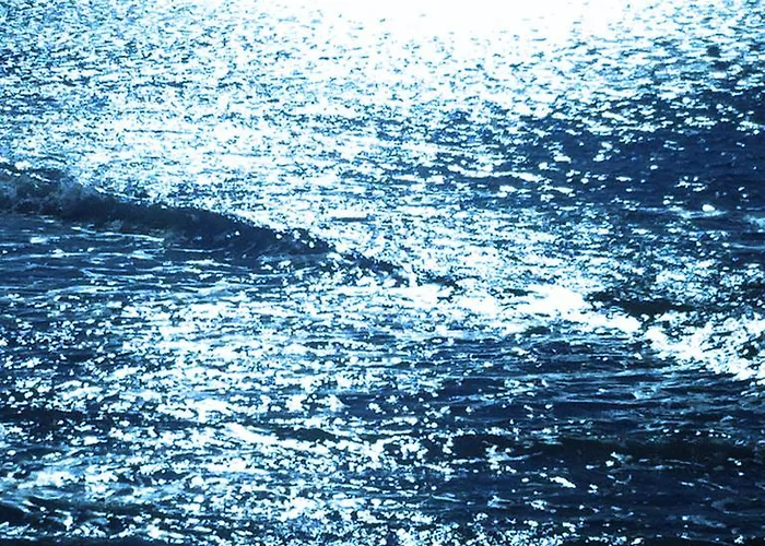 科尔特阿尔玫瑰住宿加早餐酒店 3*