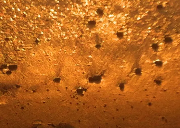 住宿加早餐酒店 科尔特阿尔玫瑰住宿加早餐酒店