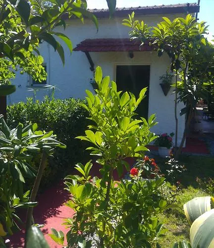 住宿加早餐酒店 科尔特阿尔玫瑰住宿加早餐酒店 普拉亚·阿马勒