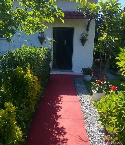 住宿加早餐酒店 科尔特阿尔玫瑰住宿加早餐酒店 普拉亚·阿马勒