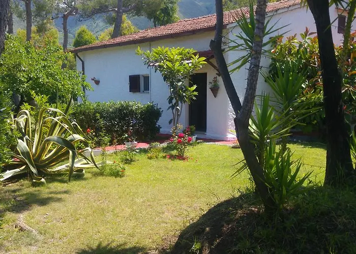 住宿加早餐酒店 科尔特阿尔玫瑰住宿加早餐酒店 普拉亚·阿马勒