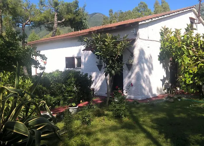 科尔特阿尔玫瑰住宿加早餐酒店 普拉亚·阿马勒