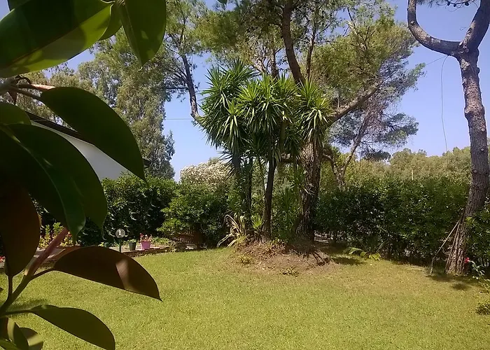 科尔特阿尔玫瑰住宿加早餐酒店 普拉亚·阿马勒