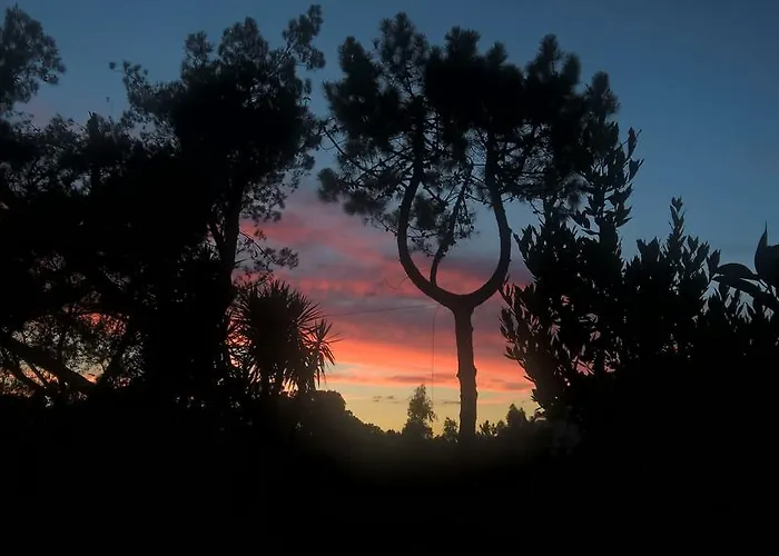 科尔特阿尔玫瑰住宿加早餐酒店 住宿加早餐酒店 3*