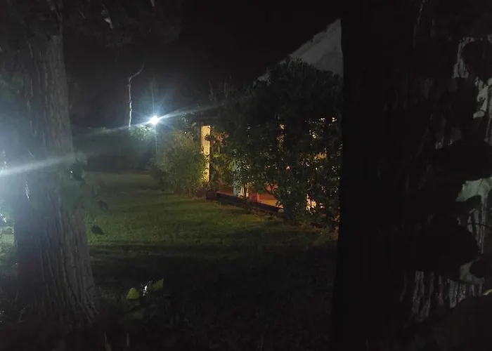 科尔特阿尔玫瑰住宿加早餐酒店 住宿加早餐酒店 3*